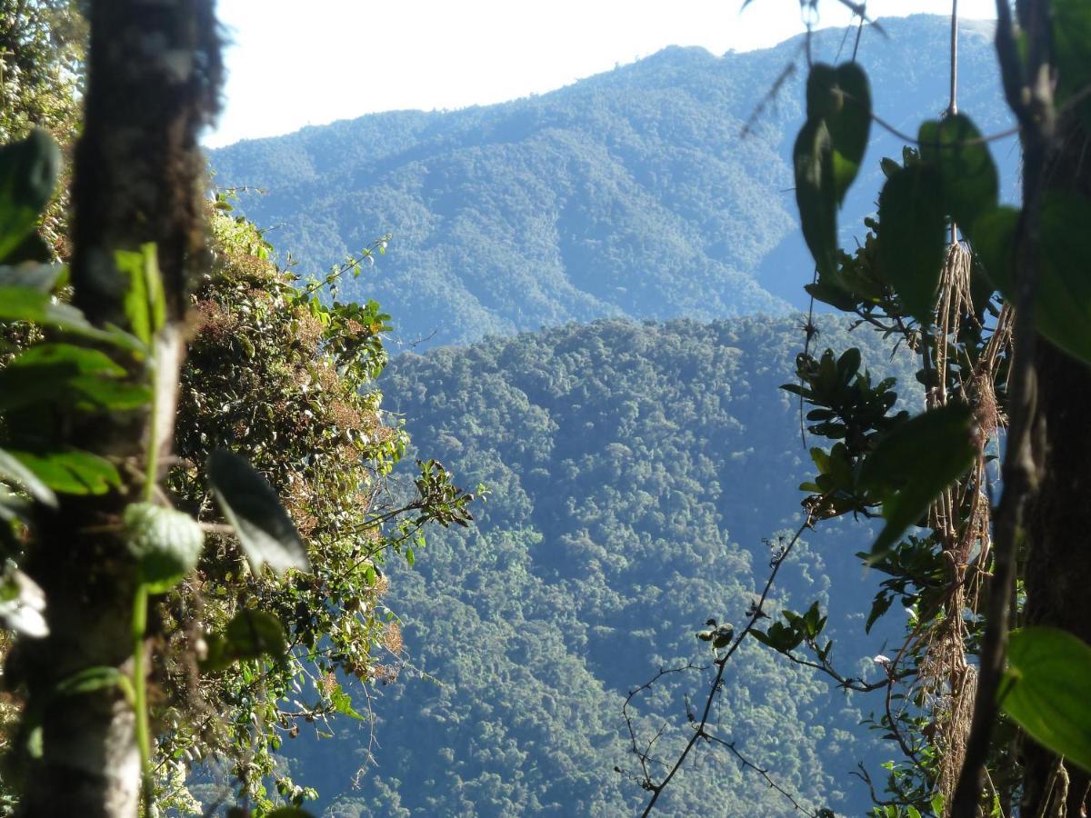 Patricia And Ned'S Cloud Forest Farm โกตากาชี ภายนอก รูปภาพ