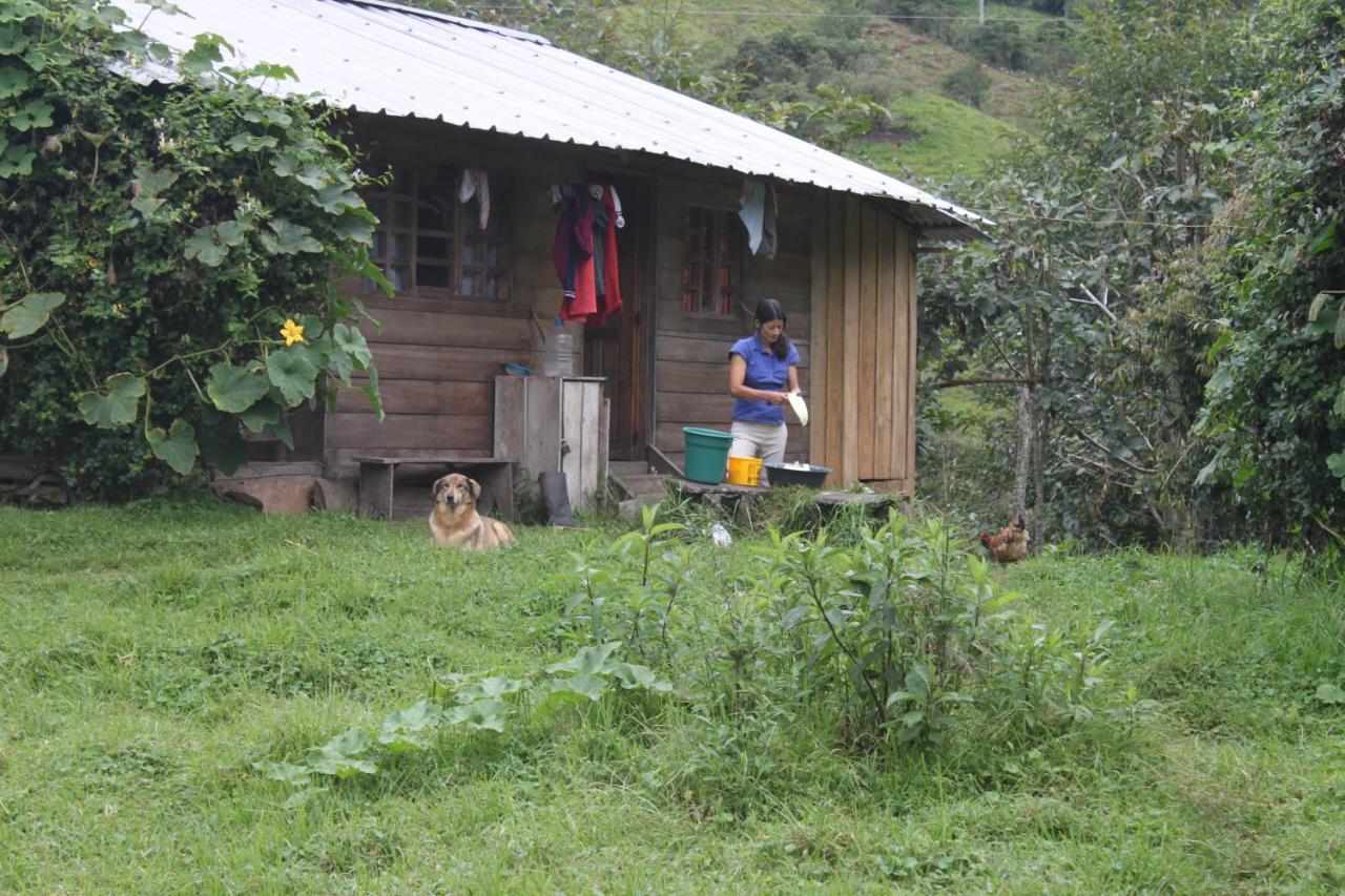 Patricia And Ned'S Cloud Forest Farm โกตากาชี ภายนอก รูปภาพ