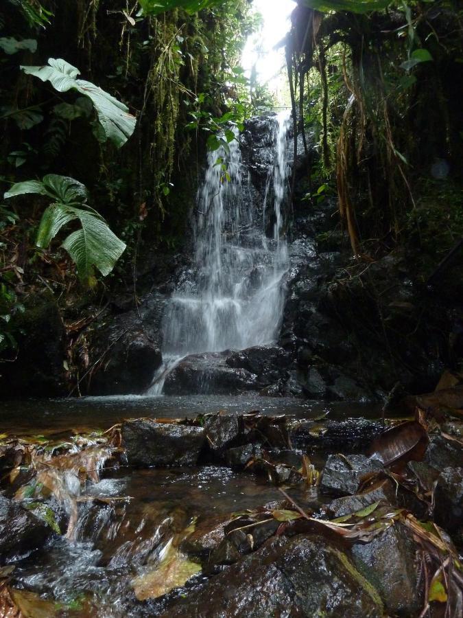 Patricia And Ned'S Cloud Forest Farm โกตากาชี ภายนอก รูปภาพ