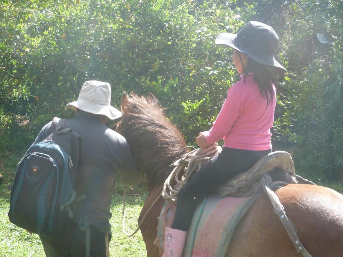 Patricia And Ned'S Cloud Forest Farm โกตากาชี ภายนอก รูปภาพ