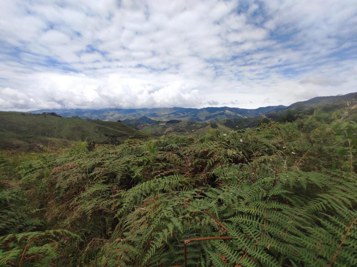 Patricia And Ned'S Cloud Forest Farm โกตากาชี ภายนอก รูปภาพ